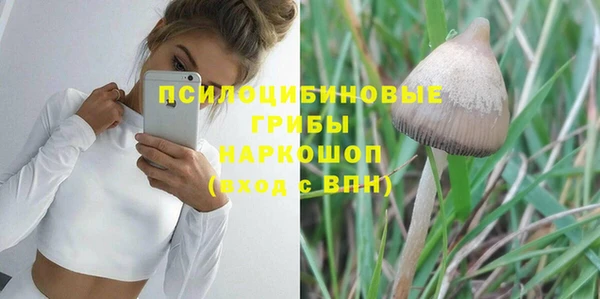 PSILOCYBIN Белокуриха