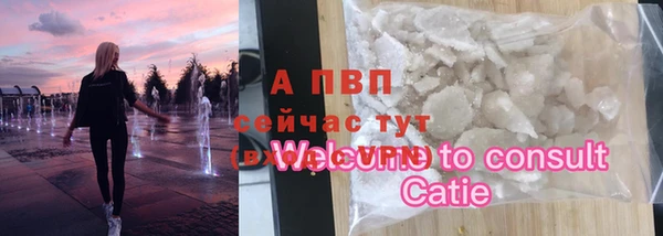 PSILOCYBIN Белокуриха