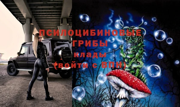 PSILOCYBIN Белокуриха