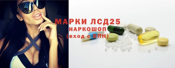 PSILOCYBIN Белокуриха