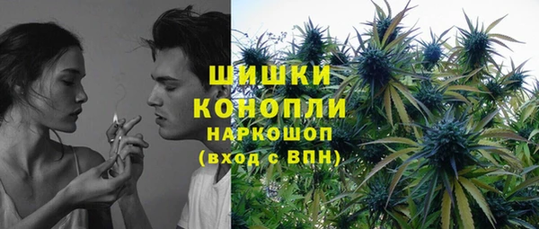 PSILOCYBIN Белокуриха