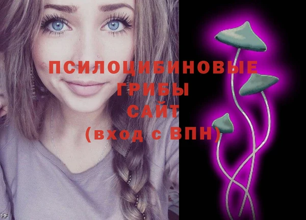 PSILOCYBIN Белокуриха