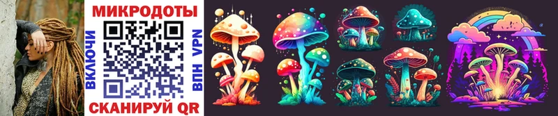 mega как войти  Полесск  Галлюциногенные грибы MAGIC MUSHROOMS 
